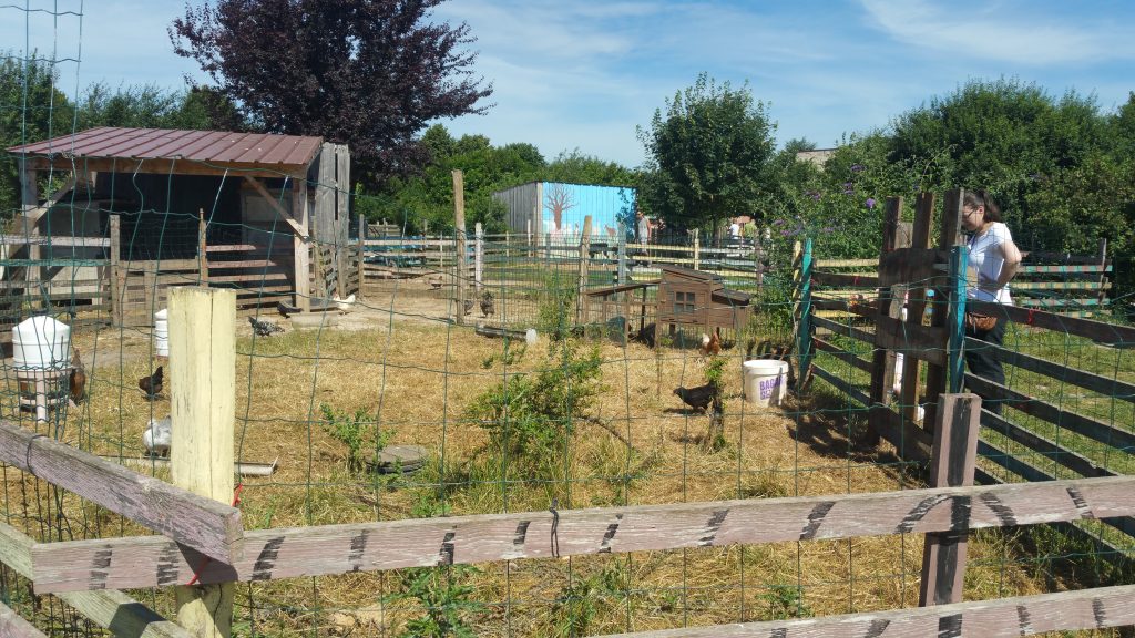 7 Bis Rue Jules Ferry 91160 Longjumeau