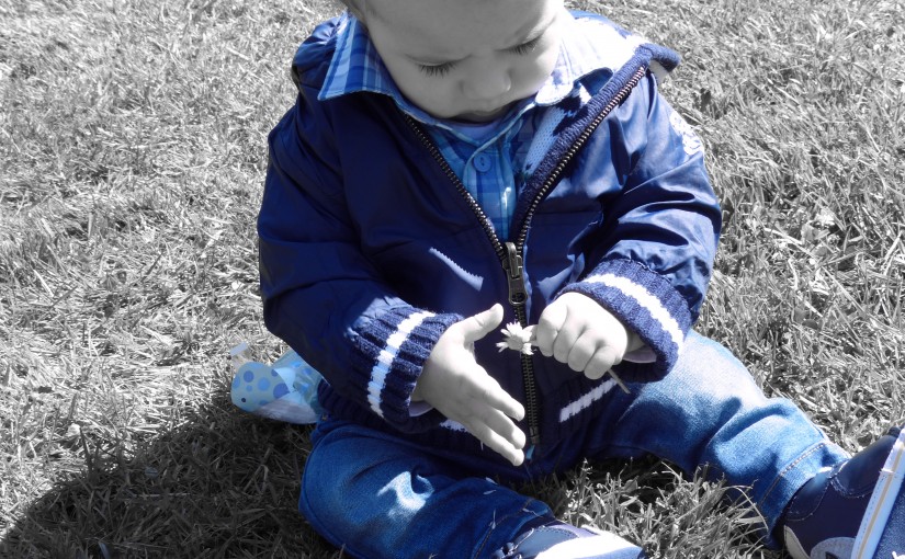 8eme mois bébé evolution